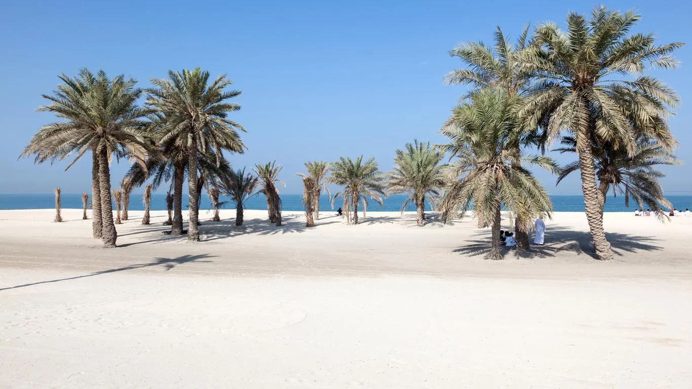 e0c46784 reg 3630 1675c48fe50